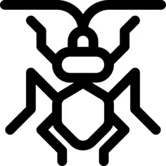 Bug