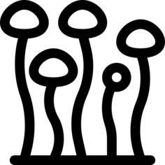 Enokitake