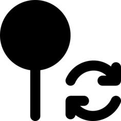 Pin