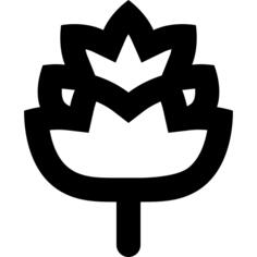 Artichoke