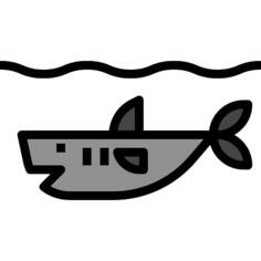 Shark