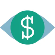 Vision