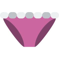 Panties