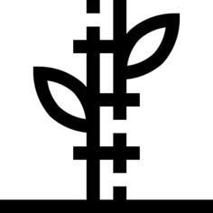 Bamboo