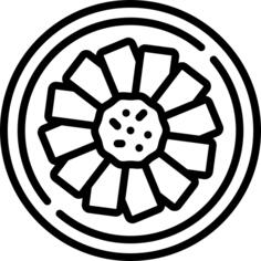 Fuqi feipian