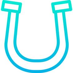 Horseshoe