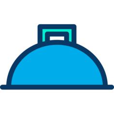Dish