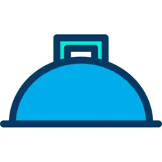 Dish