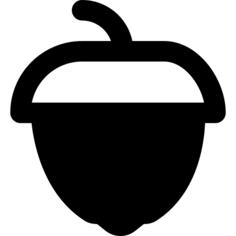 Acorn