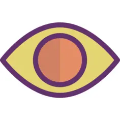Eye