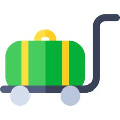 Luggage