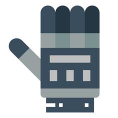 Glove