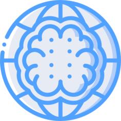 Network