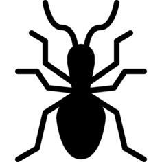 Bug