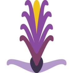 Acanthaceae