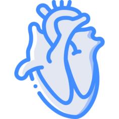 Heart