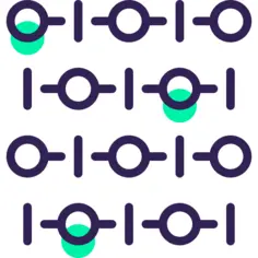 Network