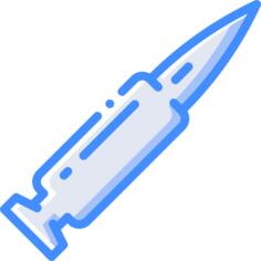 Bullet