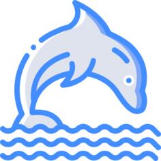 Dolphin