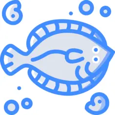 Flounder