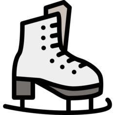 Ice skate