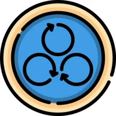 Spin