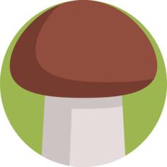 Mushroom