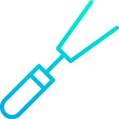 Fork