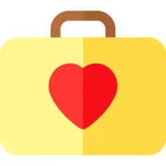 Case
