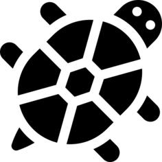 Tortoise