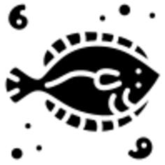 Flounder