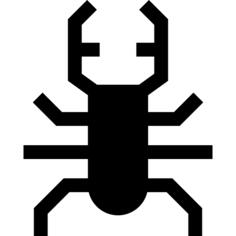 Beetle