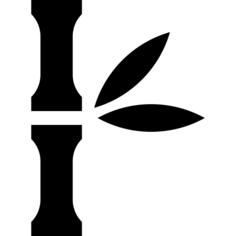 Bamboo