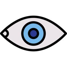 Eye