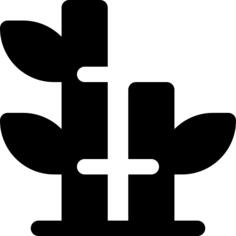Bamboo
