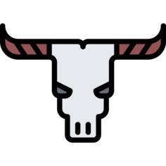 Cattle skull
