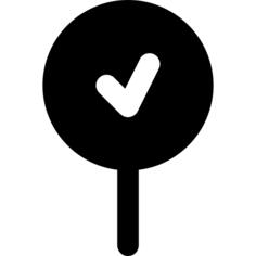 Pin