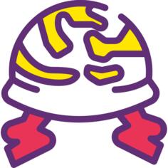Helmet