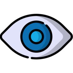 Vision