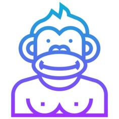 Gorilla