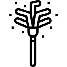 Broom