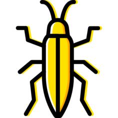 Bedbug