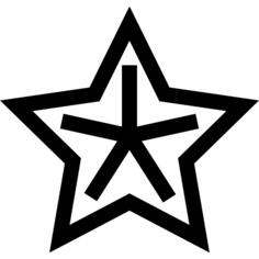 Star fruit