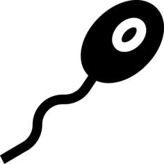 Sperm
