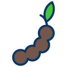 Tiger nut