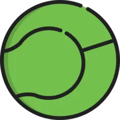 Tennis ball