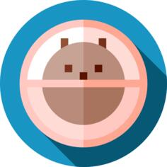 Hamster ball