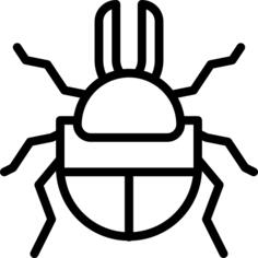 Beetle