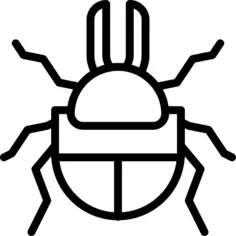 Beetle