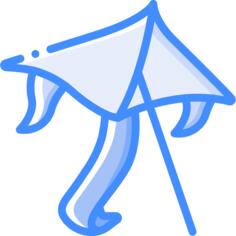 Kite